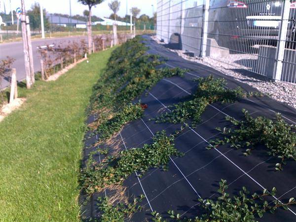 Agrotextiles_Landscaping_Weed control