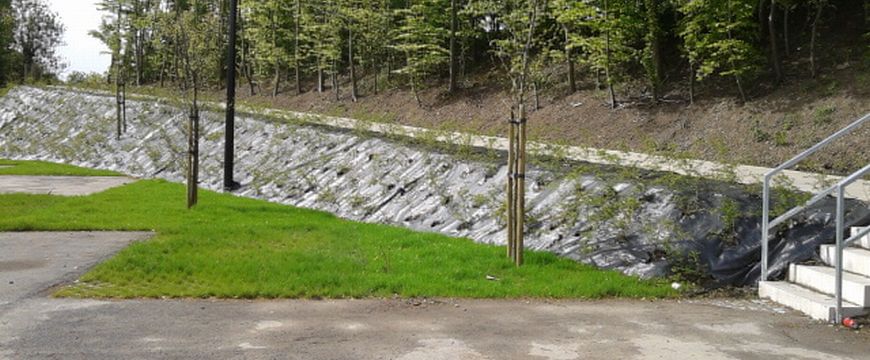 weed control steep