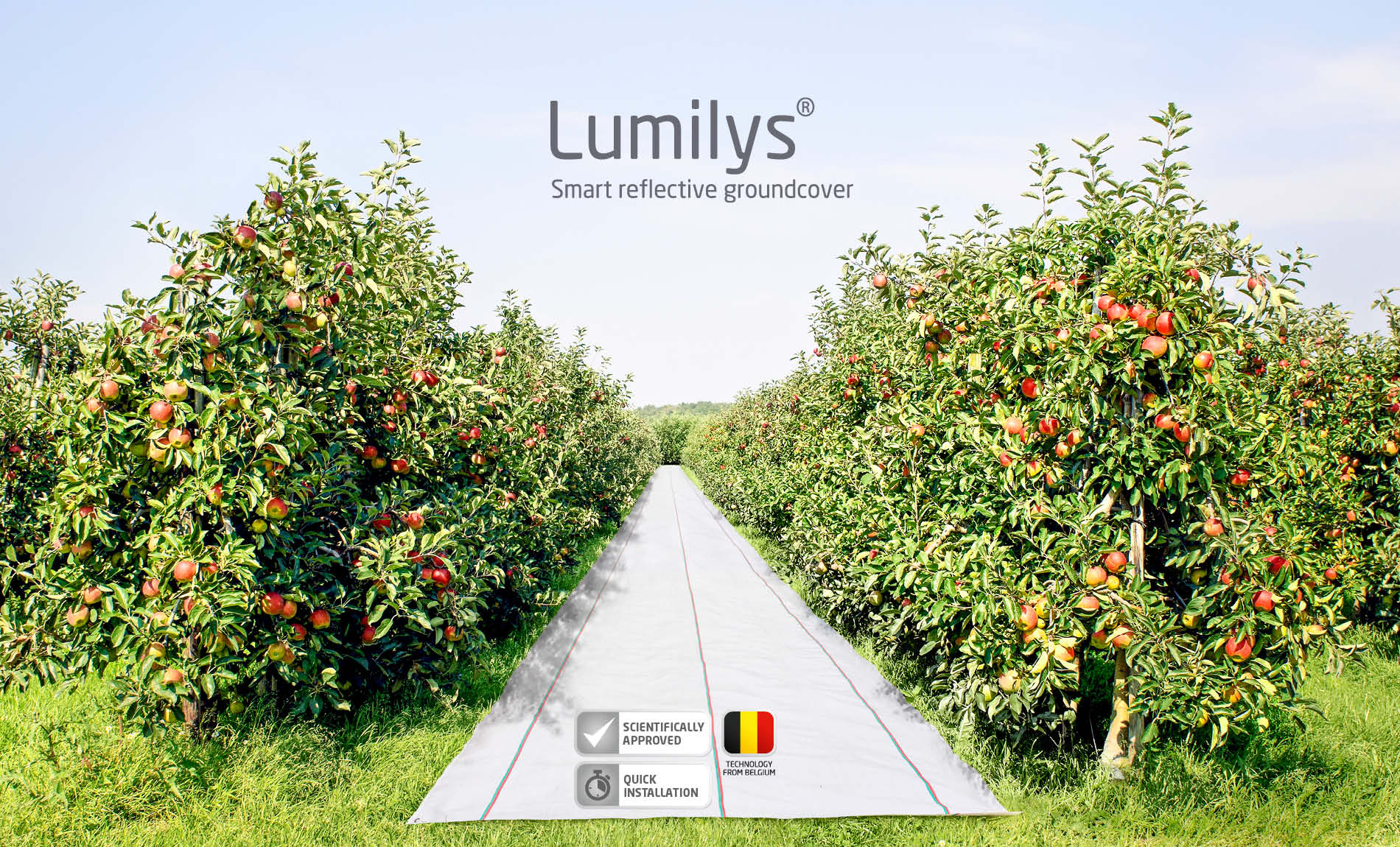 Lumilys webbanner Lumilys webbanner