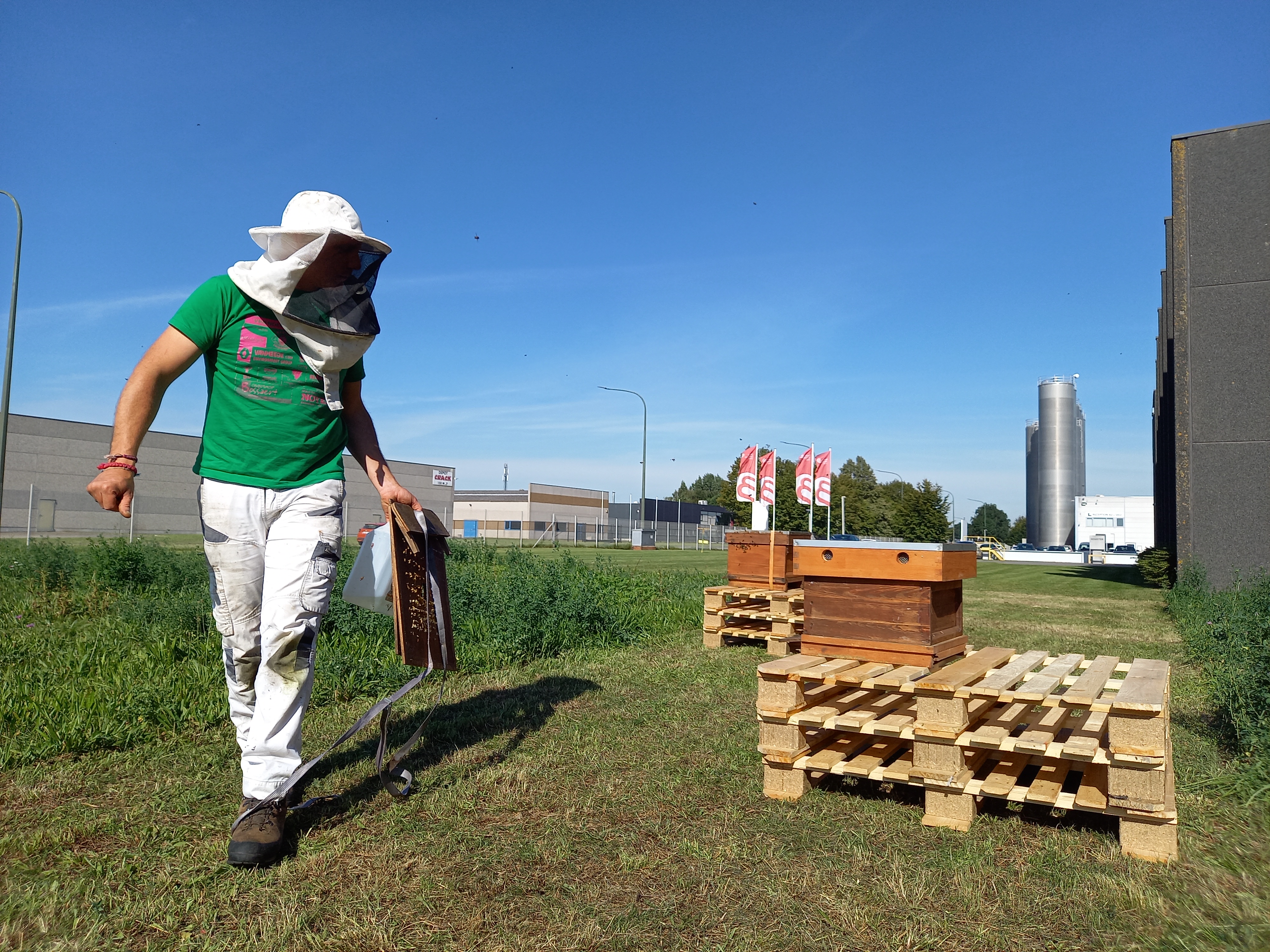 Our honey bee program