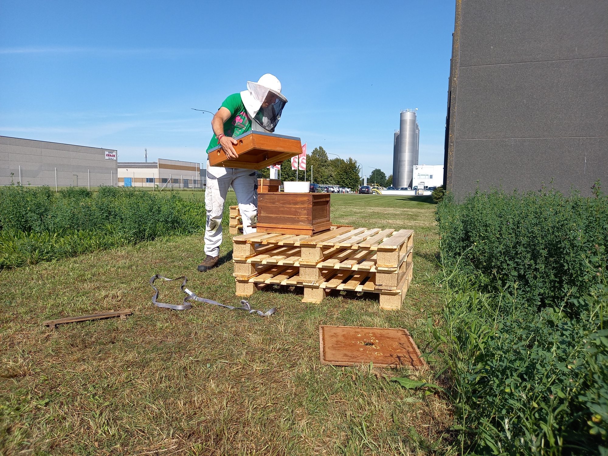 BTT_Sustainability_Honeybees_REF002