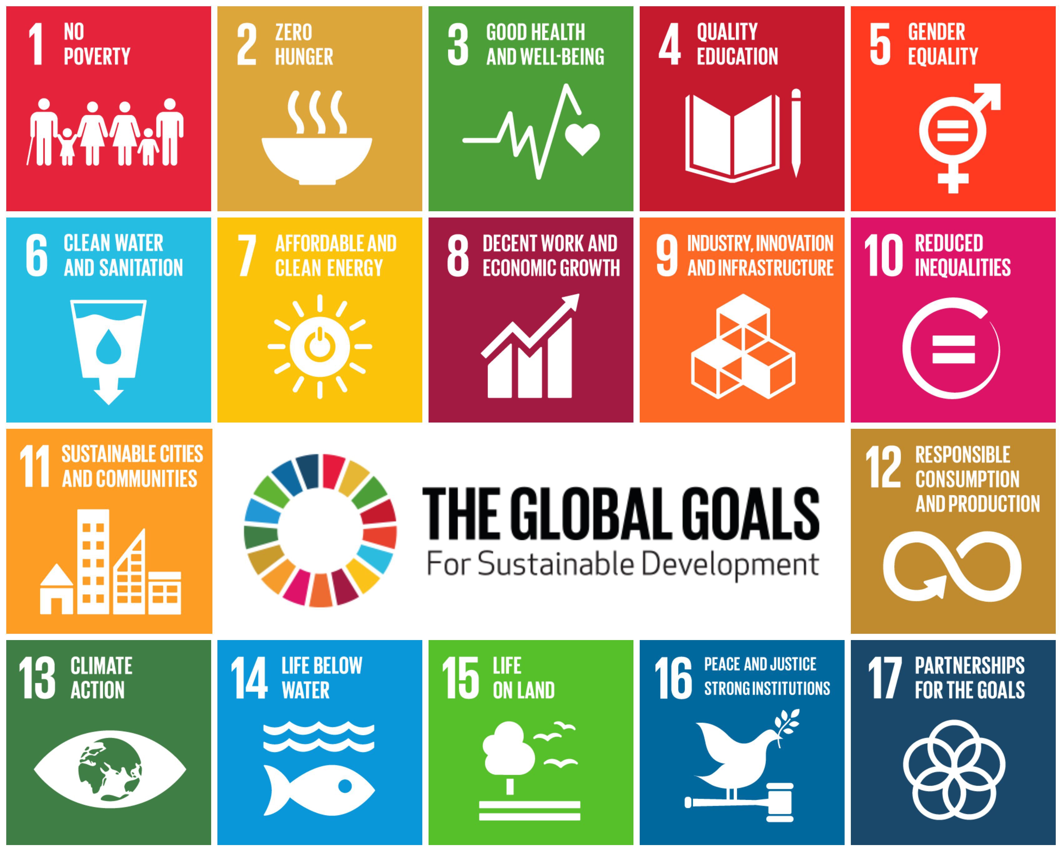 United Nations Sustainable Development Goals (SDGs)